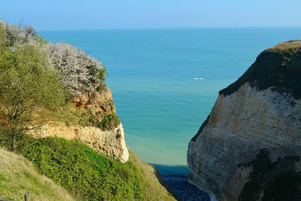 Superbe Propriete Bord De Mer - Le Clos Ricarda Sainte-Marguerite  Ngoại thất bức ảnh
